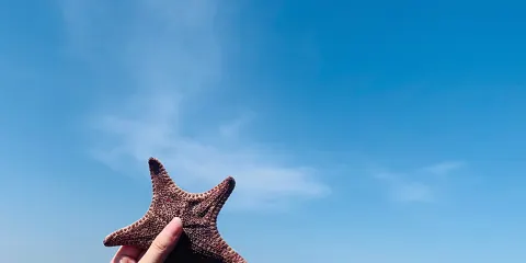 廈門帆船出海衝浪+夢幻海岸趕海踏浪一日遊【贈閩南風味海鮮餐】
