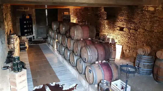 Douro Valley Tour: 2 Vineyard Visits, River Cruise, Winery Lunch