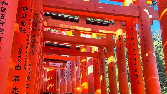 Excursion d'une journée à Kyoto, Osaka, Parc de Nara, Fushimi Inari-taisha et Arashiyama