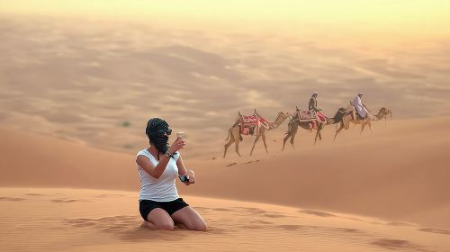 Private 4Hours Red Dunes Safari Camel Ride ,Falcon & Dune Thrills 2