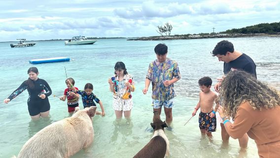 Незабываемое приключение в Нассау: свиньи, гидроциклы и снорклинг