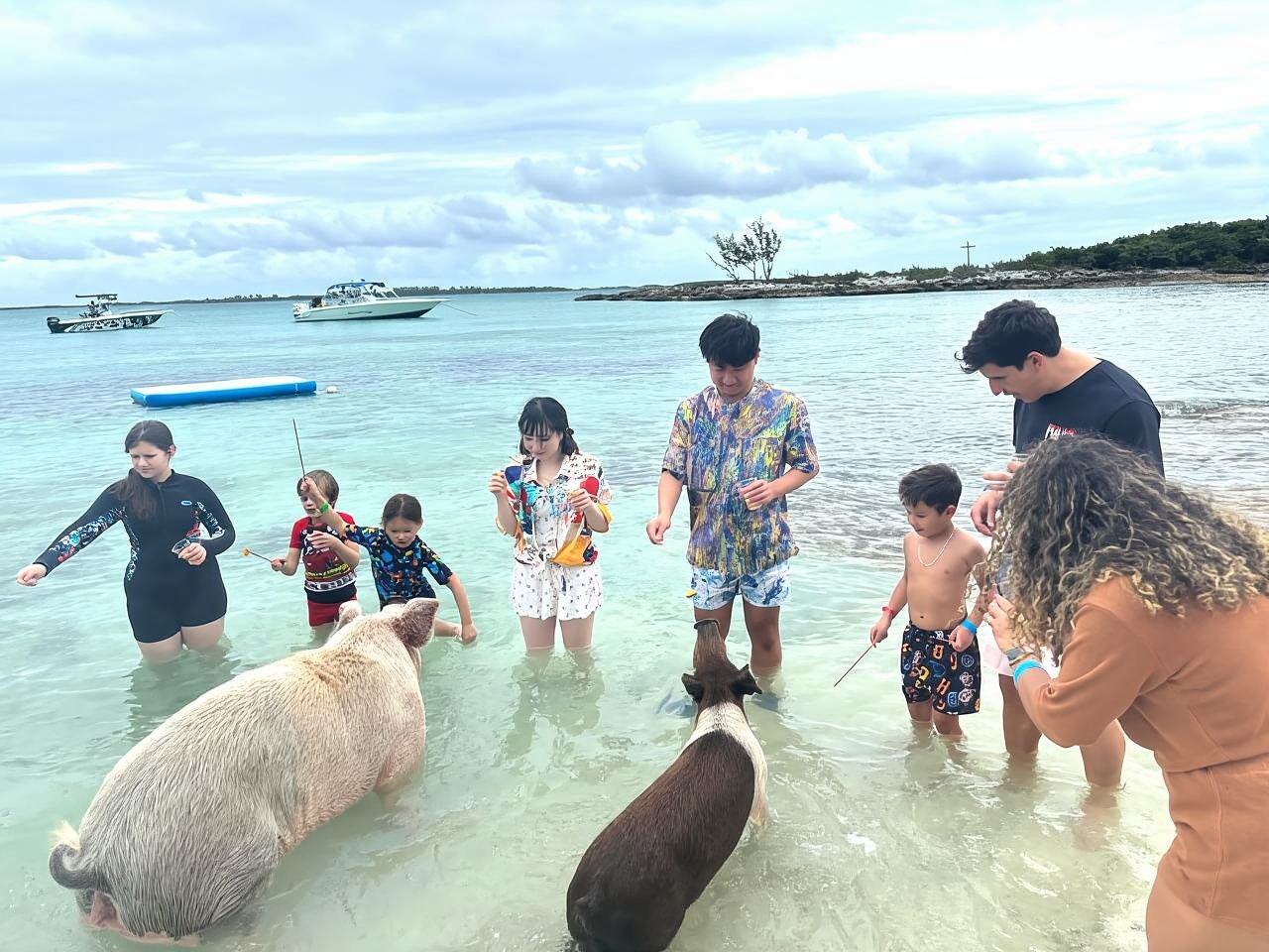 Ultimate Nassau Adventure: Pigs, Jetskis & Snorkeling