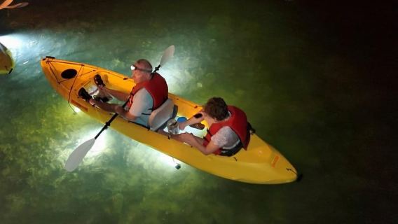 Clearwater Beach: Glass Bottom LED Kayak Night Tour