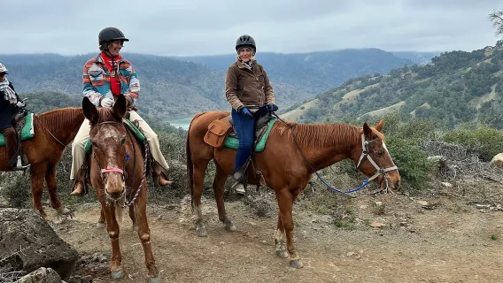 Contea di Sonoma: Avventura a cavallo nella regione vinicola