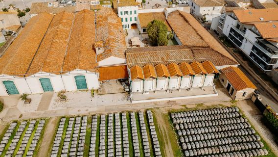 Marseillan: La Maison Noilly Prat Tour