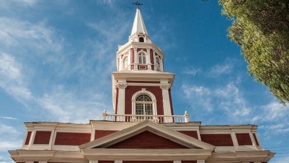 Tour al Valle del Elqui desde La Serena