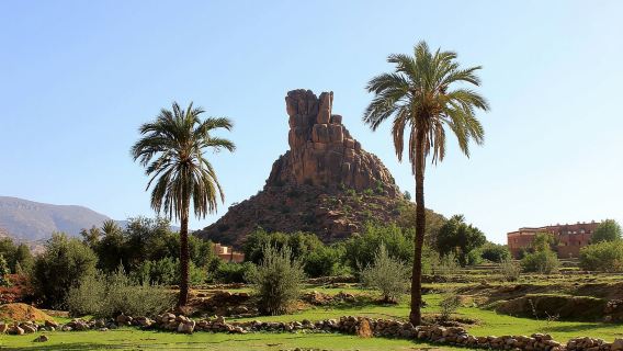 Agadir: Perjalanan Sehari ke Tafraout di Anti-Atlas