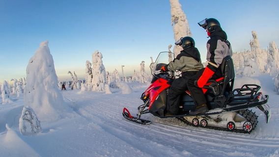 Daripada Sirkka: Safari Kereta Salji Lapland di Levi