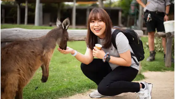 Australia - Blue Mountains 1-day tour & Koala photo opportunity [Depart from Sydney & includes admission ticket & cable car]