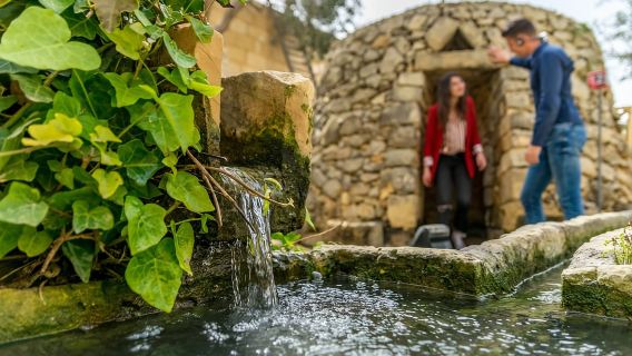 Malta: Prehistoric Temples and Highlights of the South