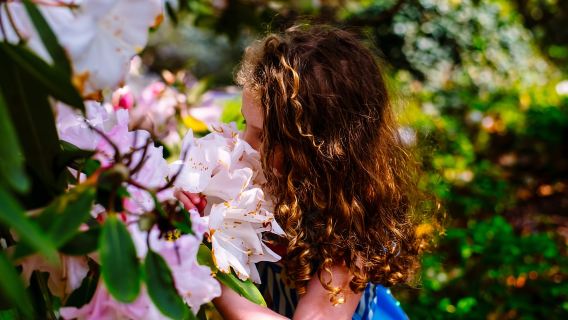 Waterford: Entrada a los jardines del Monte Congreve