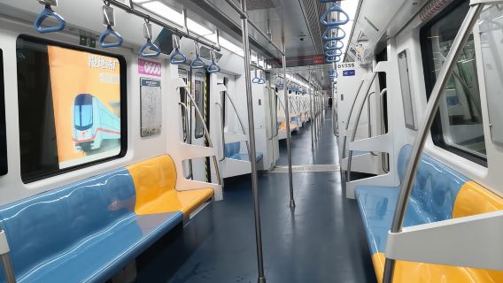 Xi'an: tour dei Guerrieri di Terracotta con guida facoltativa o trasferimento