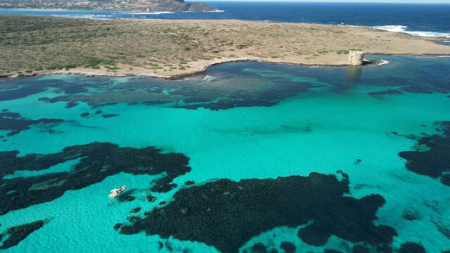 Stintino: Mezza giornata all' Asinara con Aperitivo a bordo