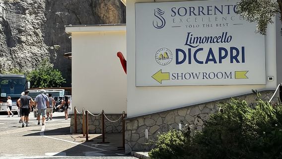 Desde Roma: Excursión de un día a Pompeya y Sorrento con entrada al Coliseo