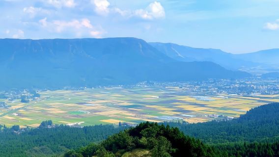 日本九州-熊本來回-大分海之卵水族館-春日神社-大分精品遊