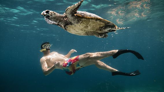 From Gili Air: Snorkeling with Turtles & Underwater Statue | Trip.com