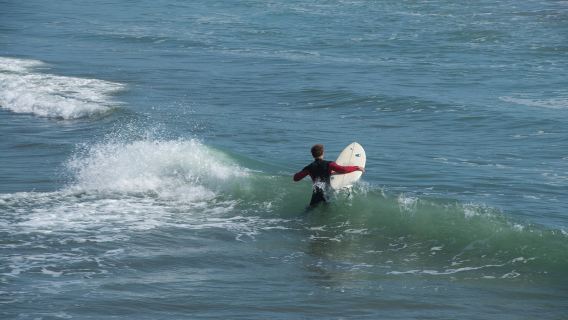 紐西蘭奧克蘭 懷·歐·塔普地熱仙境-胡卡瀑布可訂製南北島包車