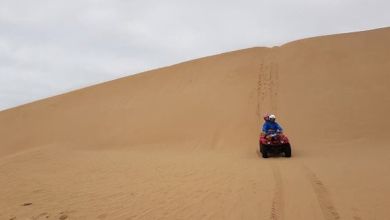 Essaouira P3: Quad tour forest beach dunes (free transfer)