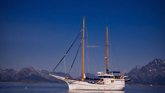 Tromsø: Kleine groep zee-tot-tafel visserij-ervaring