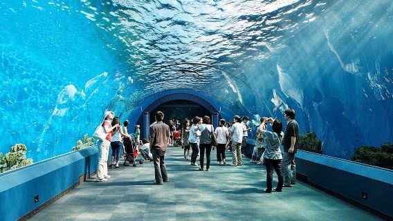 Underwater World at Pattaya Admission Ticket with Return Transfer