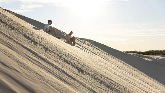 Port Stephens: Unlimited Sandboarding & 4WD Sand Dune Tour