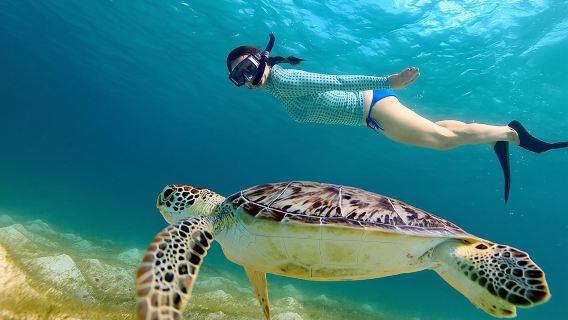 From Gili Trawangan : Gilis Island Hopping Snorkeling Trip