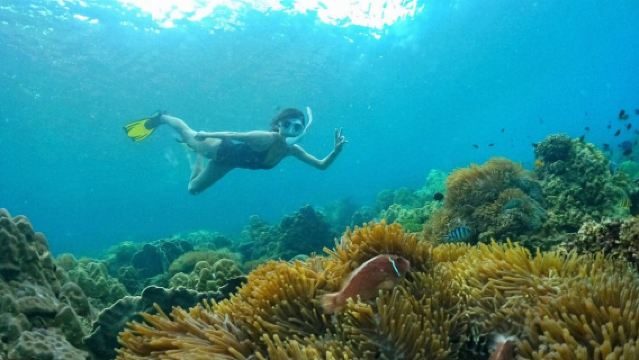 Onbird halve dag zuidelijk Phu Quoc speedboottocht verkennend snorkelen (maximaal 8-10 volwassenen)