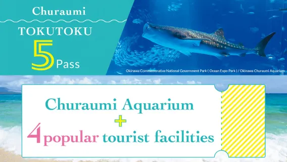 Okinawa Tokutoku Pass