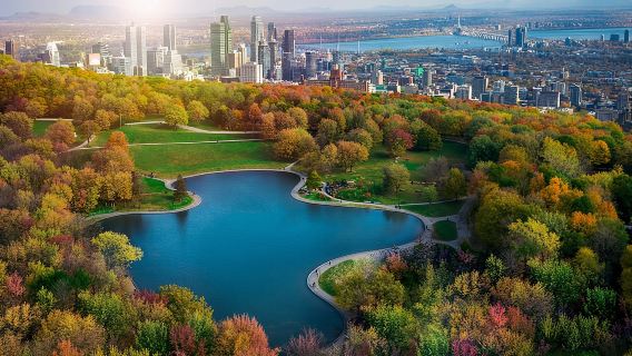 Full-Day small-group Montreal tour with Pickup and a Local Taste