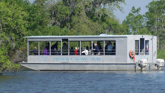 Sumpf-Bootstour in New Orleans inklusive Transport