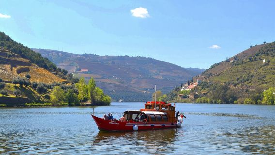 Tour della valle del Douro: 2 visite ai vigneti, crociera sul fiume, pranzo in cantina