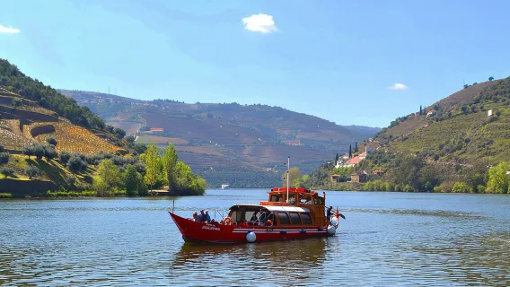 Tour della valle del Douro: 2 visite ai vigneti, crociera sul fiume, pranzo in cantina