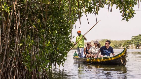 Esplora i tunnel di mangrovie di La Boquilla con i pescatori locali