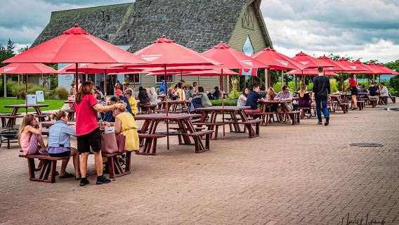 Tour privato personalizzabile di un giorno alla scoperta di vini, birre e liquori a Niagara