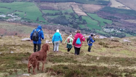 KillarneyTours