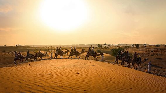 Dubai Sunset Camel Ride & BBQ Dinner at Al Khayma Camp