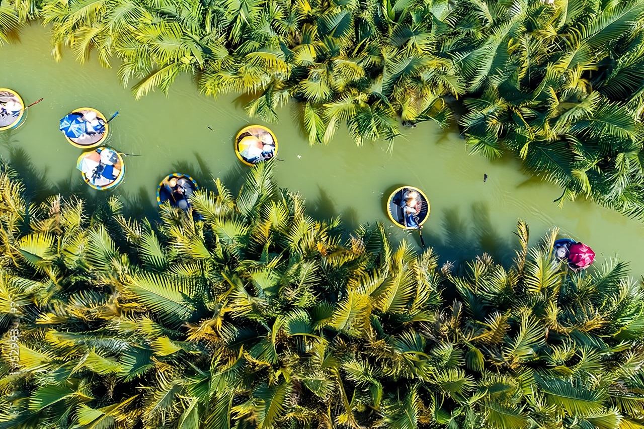 ล่องเรือตะกร้า ป่ามะพร้าว ชมพระอาทิตย์ตก และชมเมืองฮอยอันยามค่ำคืน