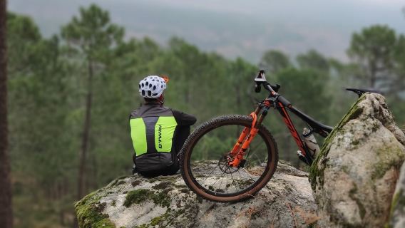 Rent a Bicycle