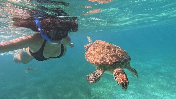 Costa Maya, snorkeling on the reef with fish, looking for turtles