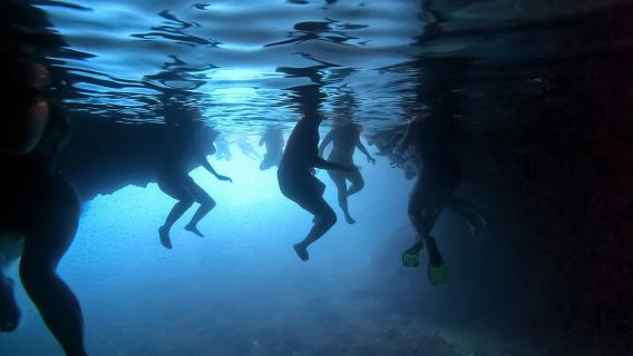 Blue Cave, Green Cave & Lopud Beach small group Speed boat Tour