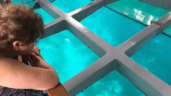 Tour riêng bằng thuyền đáy kính từ 2 đến 5 giờ tại Biển Read