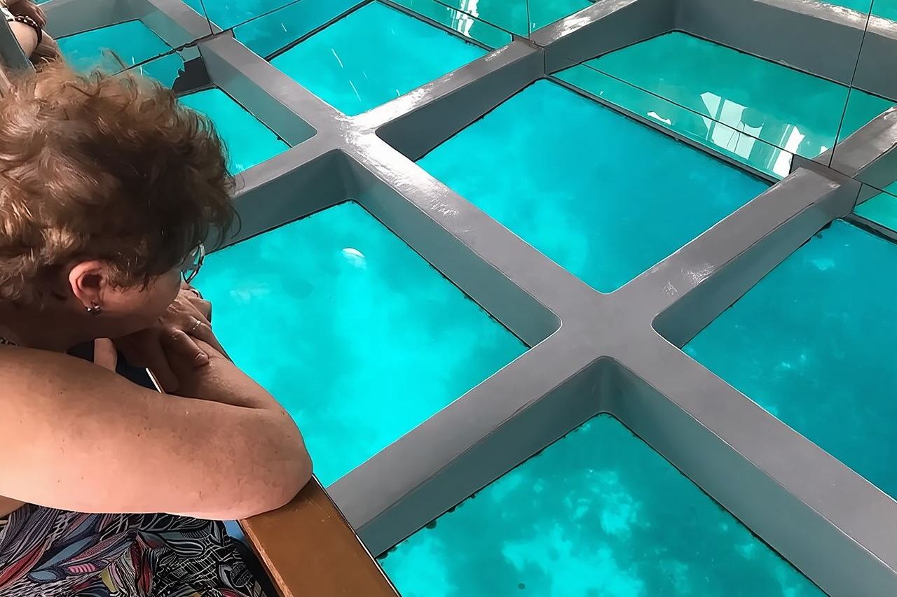 Tour privato da 2 a 5 ore in barca con fondo di vetro a Read Sea