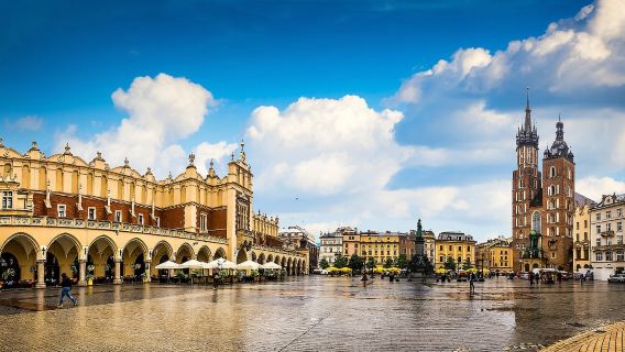 однодневный тур в Освенцим-Биркенау и Соляную шахту в Величке из Кракова с входными билетами