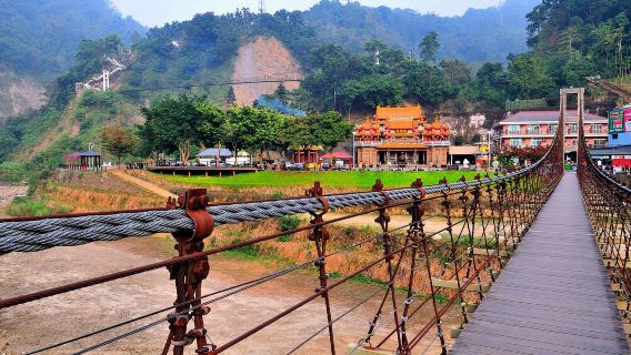 Alishan day tour | Tianchang-Dijiu & Alishan Forest Railway & tea-picking experience | Departing from Taichung