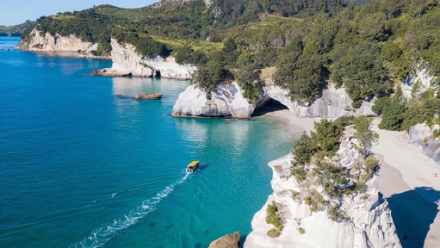 Glass Bottom Boat Whitianga Cathedral Cove Cruise