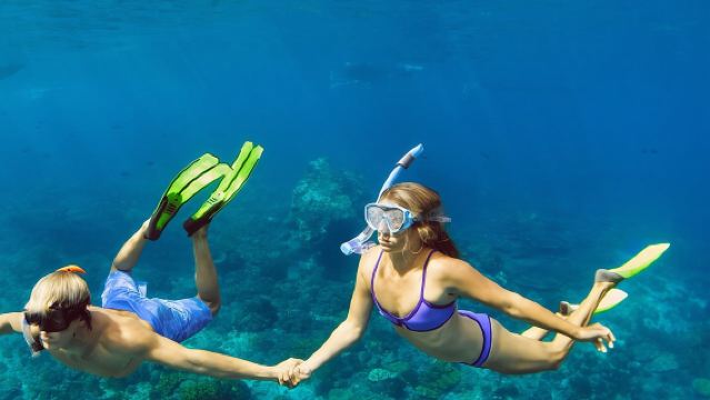 Snorkeling trips to Daymaniat Islands Sharing Trip
