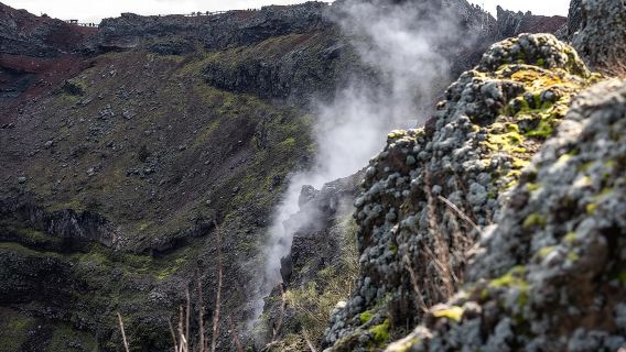 Tour per piccoli gruppi di Pompei e Vesuvio da Napoli con pizza