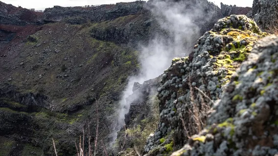 Tour guiado completo por Pompeya y el Vesubio desde Nápoles con pizza