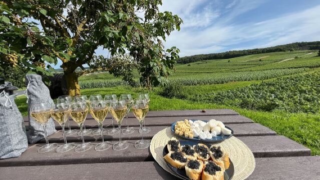 Champagne- und Reims-Verkostungstagesausflug von Paris
