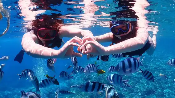 沖繩 慶良間出海半日／一日遊【尋找海龜丨自由浮潛丨中文導遊】
